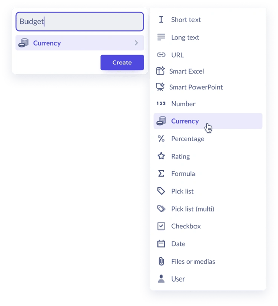 Create Custom Fields in Braineet